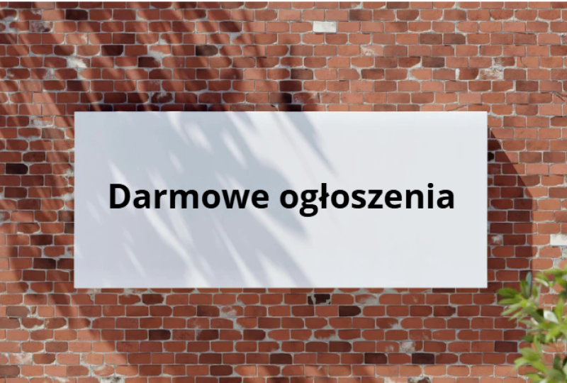 ilustracja artykułu: Jakie są skuteczne metody pozwalające wyróżnić ogłoszenie bez płatnej promocji?