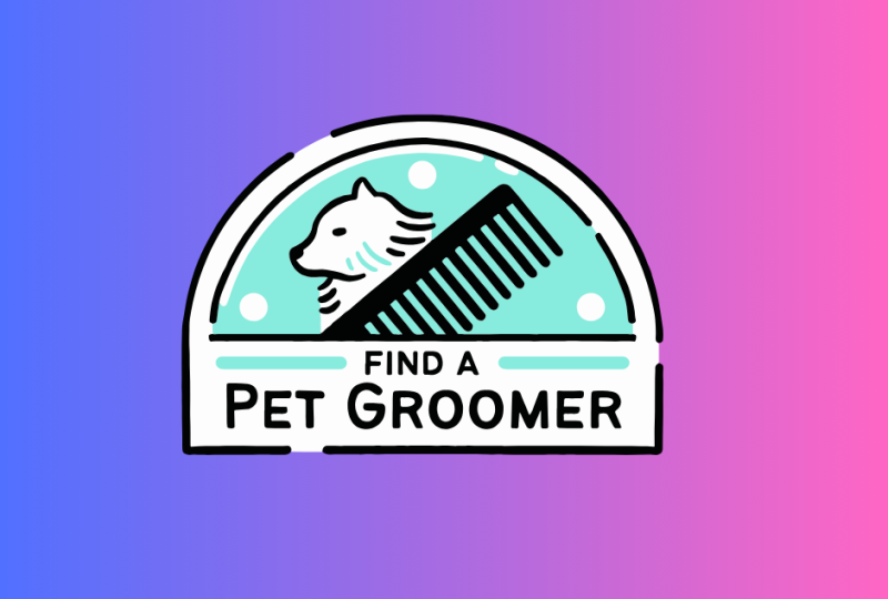 ilustracja artykułu: Usługi groomerskie – kompletny poradnik pielęgnacji psów i kotów